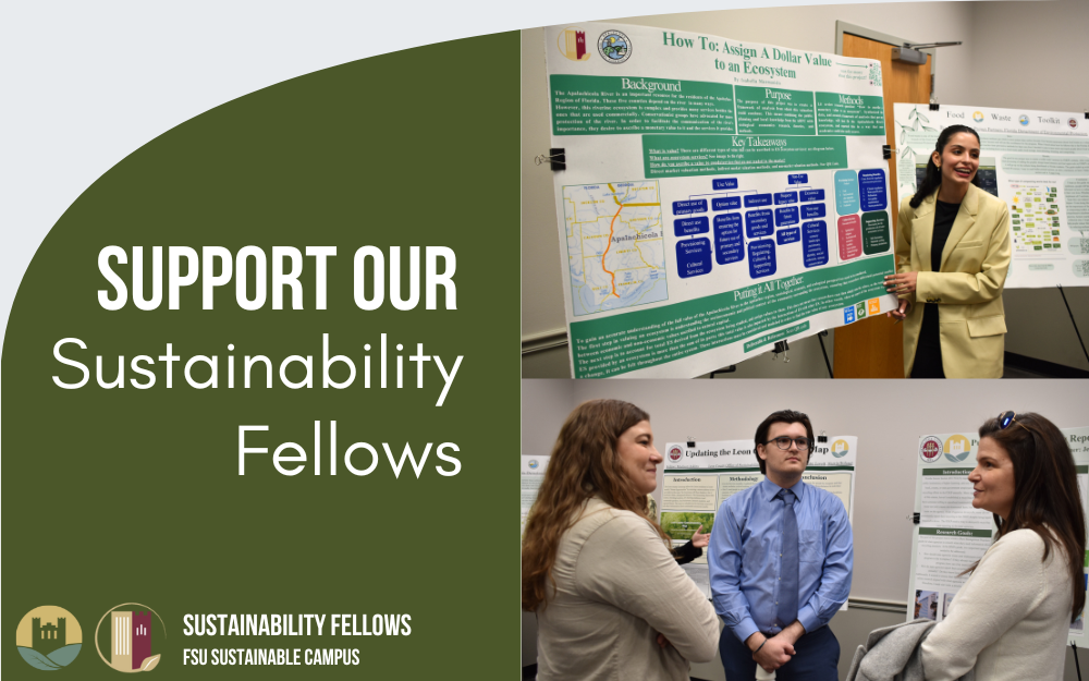 Support the Sustainability Fellows!